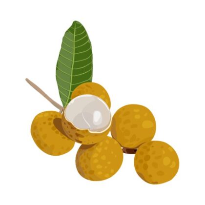 Litchi 50 Pcs
